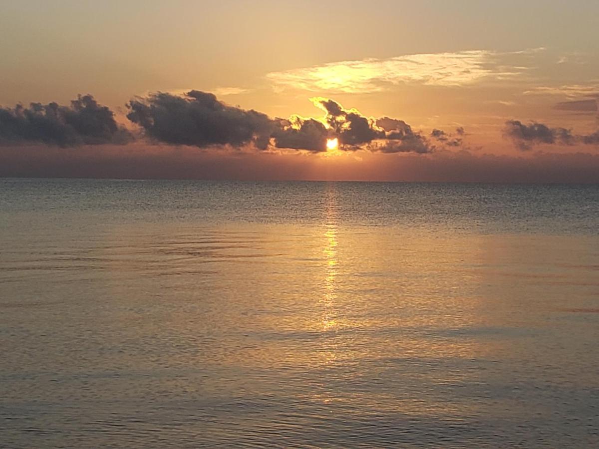Pal'S On The Beach - Dangriga, Belize ภายนอก รูปภาพ
