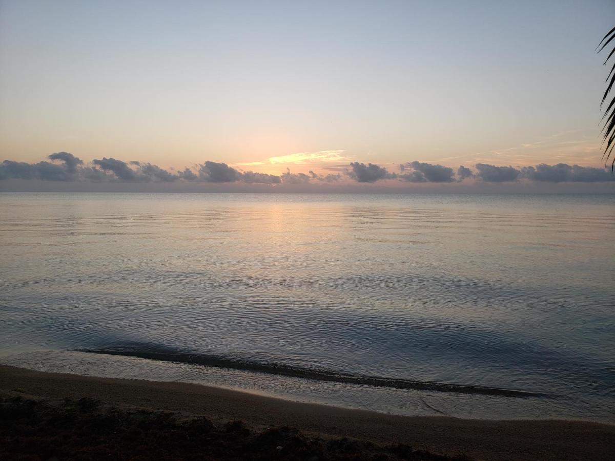 Pal'S On The Beach - Dangriga, Belize ภายนอก รูปภาพ