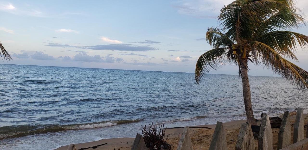 Pal'S On The Beach - Dangriga, Belize ภายนอก รูปภาพ