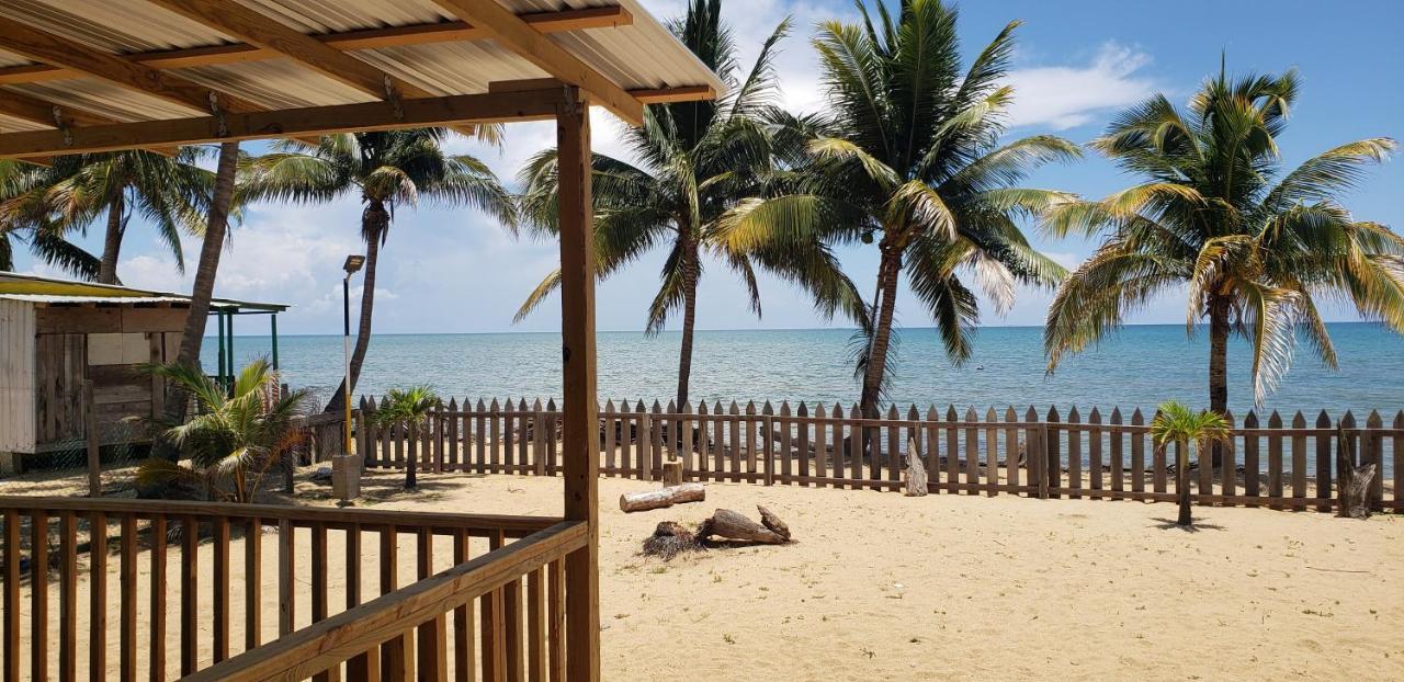 Pal'S On The Beach - Dangriga, Belize ภายนอก รูปภาพ