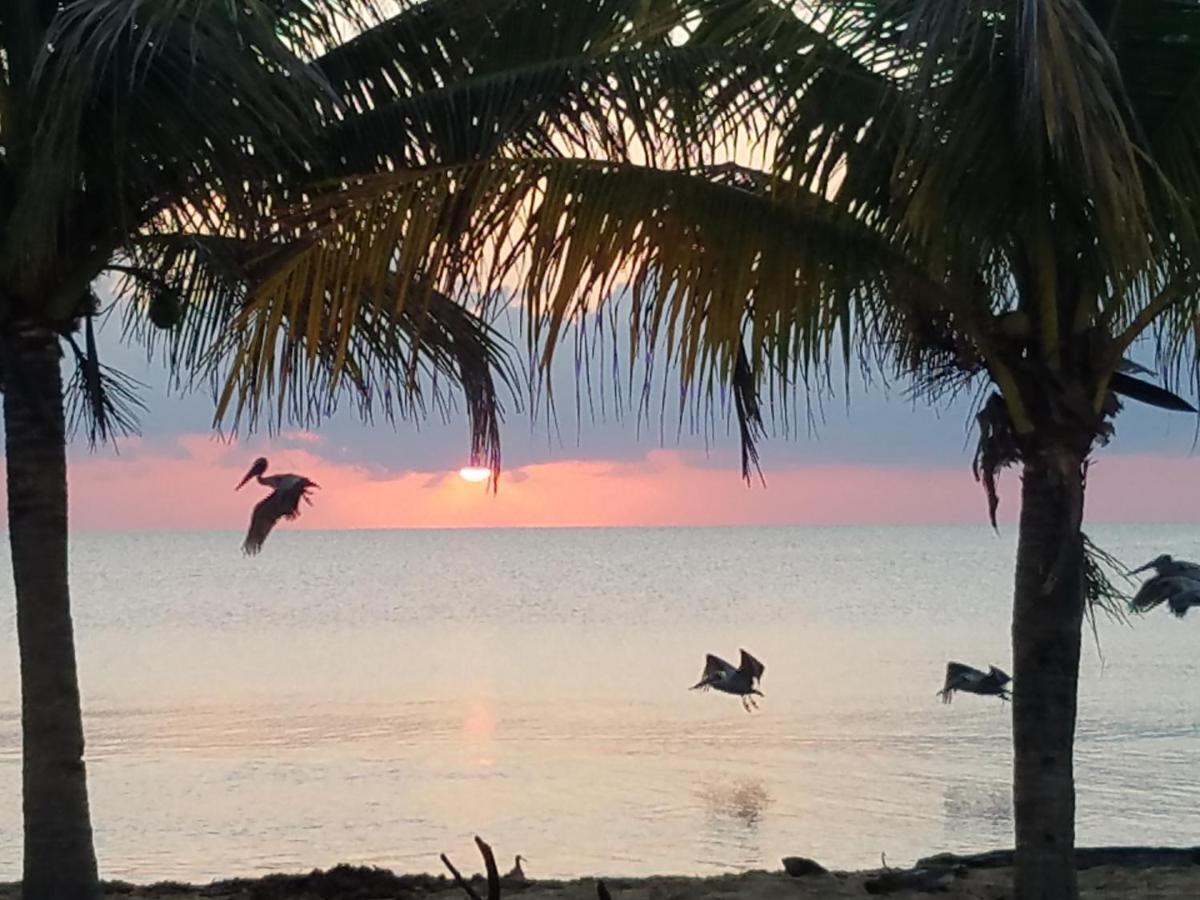 Pal'S On The Beach - Dangriga, Belize ภายนอก รูปภาพ