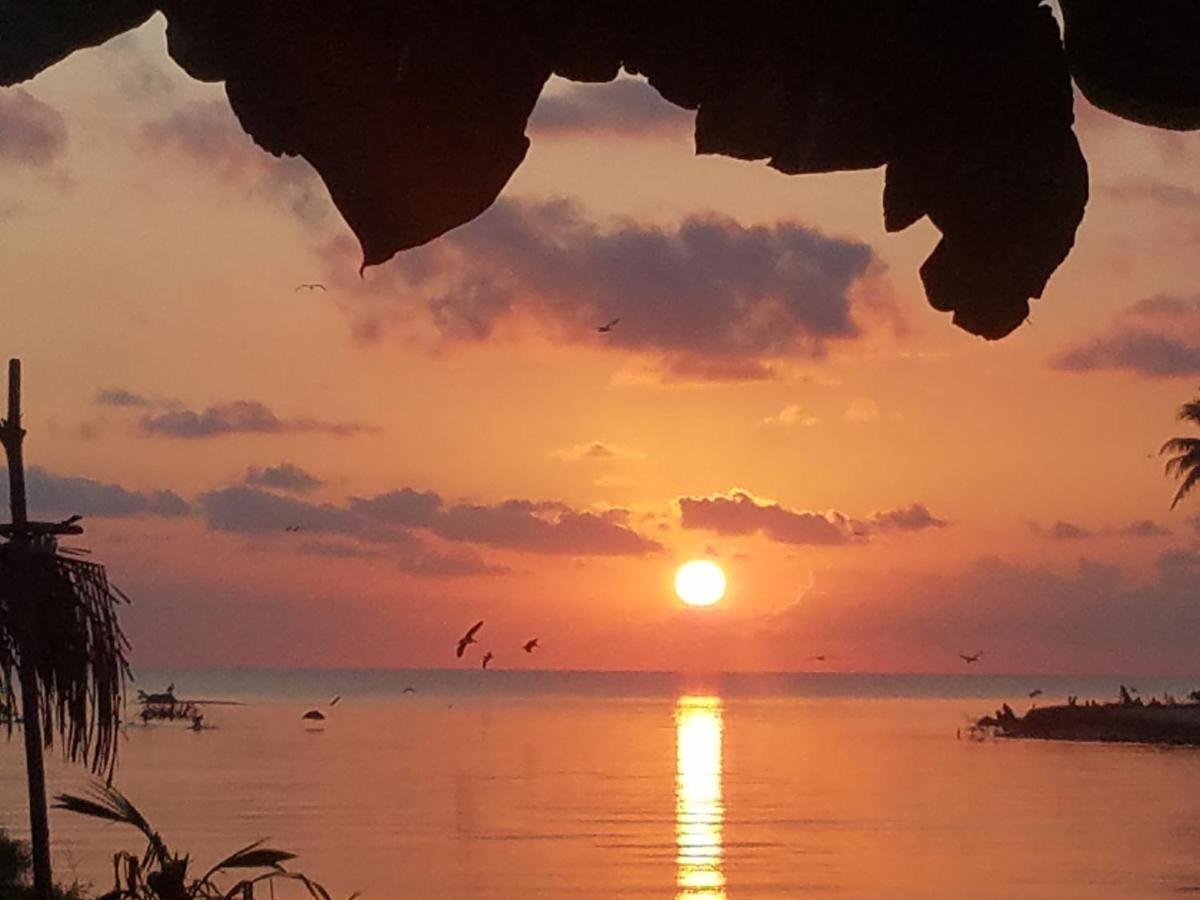 Pal'S On The Beach - Dangriga, Belize ภายนอก รูปภาพ
