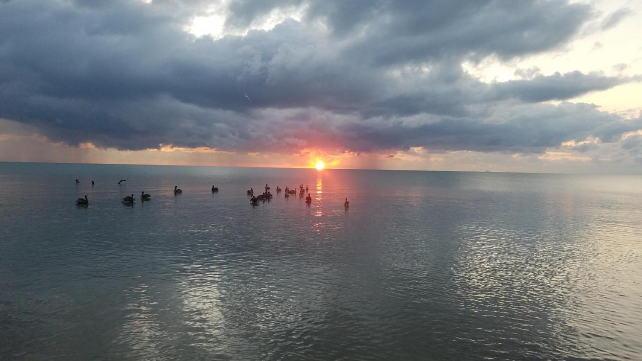 Pal'S On The Beach - Dangriga, Belize ภายนอก รูปภาพ