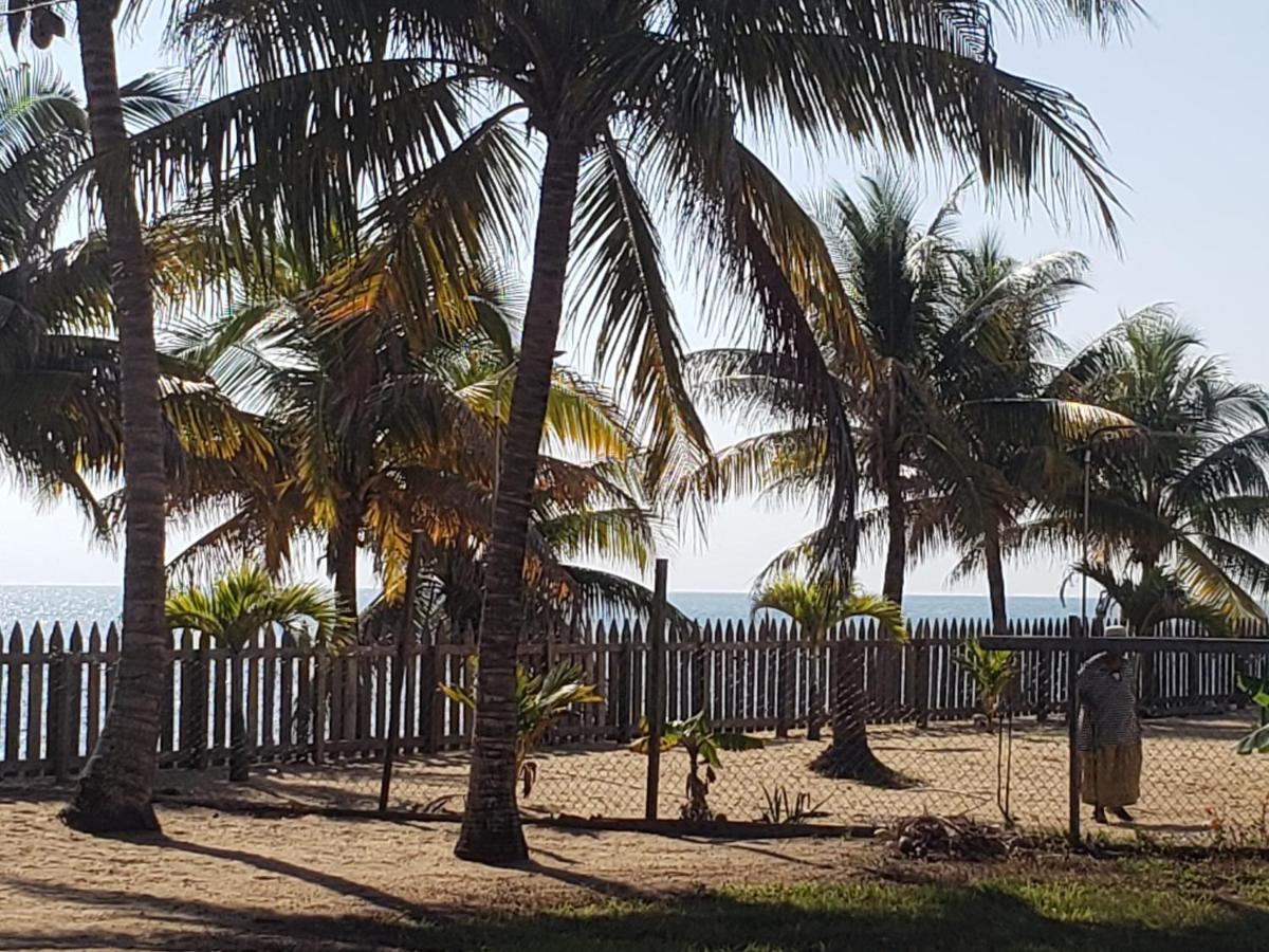 Pal'S On The Beach - Dangriga, Belize ภายนอก รูปภาพ